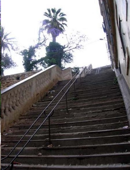Rue Decugis 2.jpg